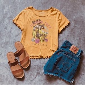 Joshua Tree Crop Top